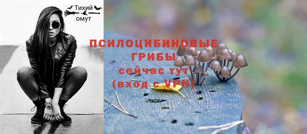 прущие грибы Осташков