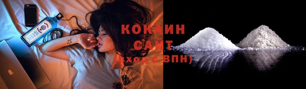 прущие грибы Осташков