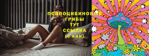 прущие грибы Осташков