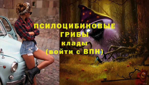 альфа пвп Осинники