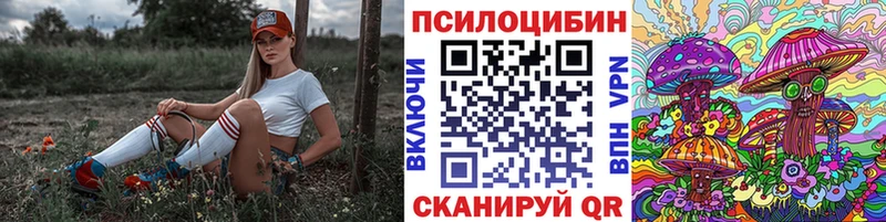 Галлюциногенные грибы Psilocybe  Якутск 