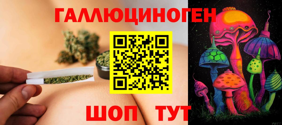 Галлюциногенные грибы Psilocybe Якутск