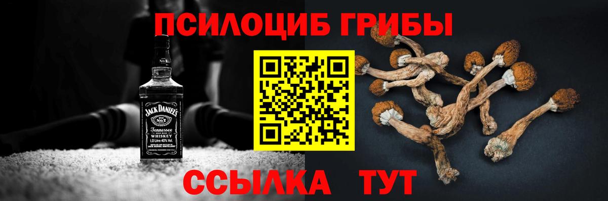 как найти закладки  Галлюциногенные грибы GOLDEN TEACHER  Псилоцибиновые грибы прущие грибы  Вход с VPN  Якутск 